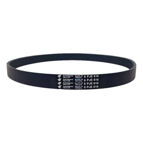Correia Tanquinho Newmaq UP 10kg 616
