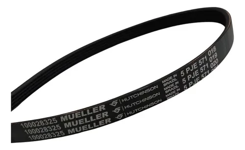 Correia Mueller 5PJE571
